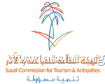 السعودية و200 مليار ريال للنقل الجوي